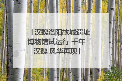 汉魏洛阳故城遗址博物馆试运行 千年汉魏 风华再现