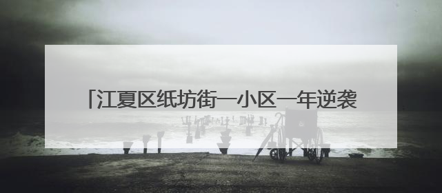 江夏区纸坊街一小区一年逆袭 荣获2024年示范项目