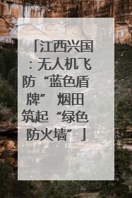 江西兴国：无人机飞防“蓝色盾牌” 烟田筑起“绿色防火墙”