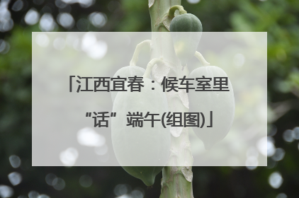 江西宜春：候车室里“话”端午(组图)