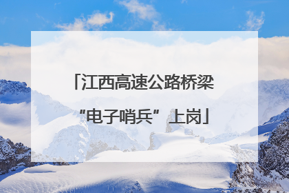 江西高速公路桥梁“电子哨兵”上岗