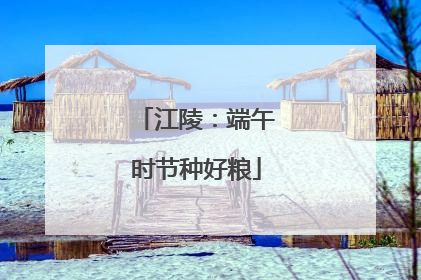 江陵：端午时节种好粮