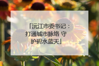 沅江市委书记：打通城市脉络 守护碧水蓝天