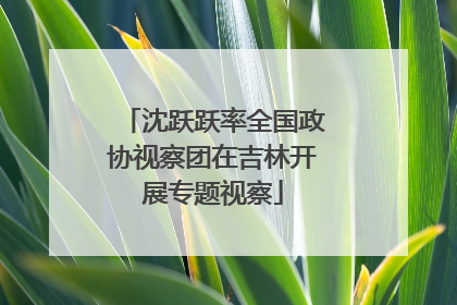 沈跃跃率全国政协视察团在吉林开展专题视察