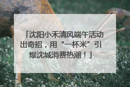 沈阳小禾清风端午活动出奇招，用“一杯米”引爆沈城消费热潮！