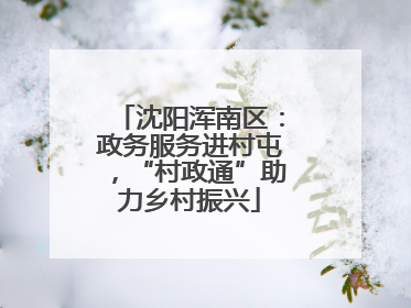 沈阳浑南区：政务服务进村屯，“村政通”助力乡村振兴