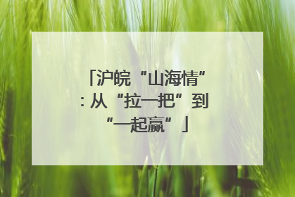 沪皖“山海情”：从“拉一把”到“一起赢”