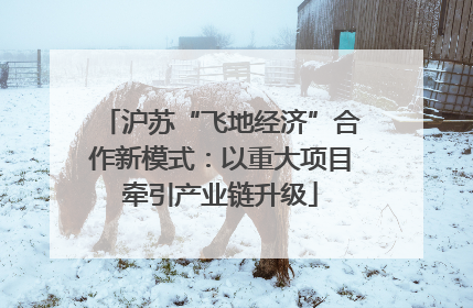 沪苏“飞地经济”合作新模式：以重大项目牵引产业链升级