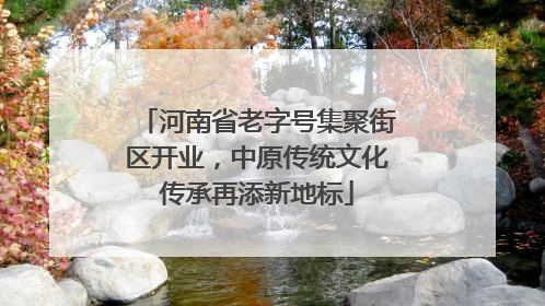 河南省老字号集聚街区开业，中原传统文化传承再添新地标