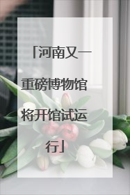 河南又一重磅博物馆将开馆试运行
