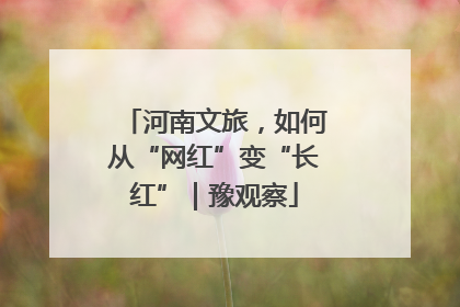河南文旅，如何从“网红”变“长红”｜豫观察