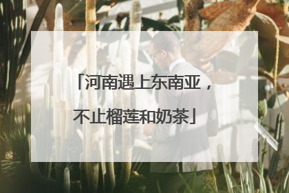 河南遇上东南亚，不止榴莲和奶茶