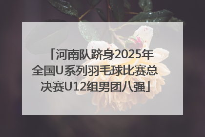 河南队跻身2025年全国U系列羽毛球比赛总决赛U12组男团八强