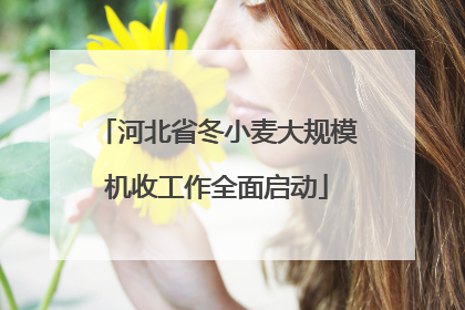 河北省冬小麦大规模机收工作全面启动