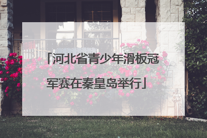 河北省青少年滑板冠军赛在秦皇岛举行