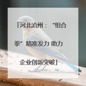 河北沧州：“组合拳”精准发力 助力企业创新突破