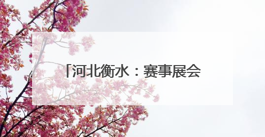 河北衡水：赛事展会搭台赋能低空经济