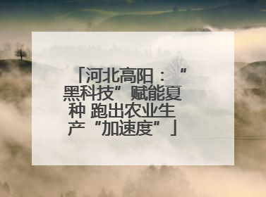 河北高阳：“黑科技”赋能夏种 跑出农业生产“加速度”