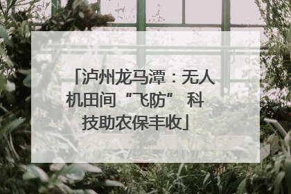 泸州龙马潭：无人机田间“飞防” 科技助农保丰收