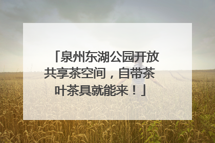 泉州东湖公园开放共享茶空间，自带茶叶茶具就能来！