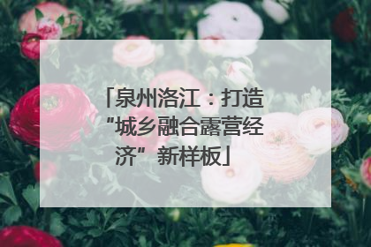 泉州洛江：打造“城乡融合露营经济”新样板