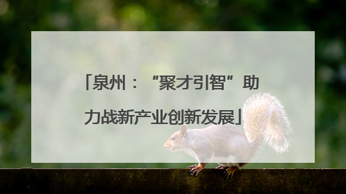 泉州：“聚才引智”助力战新产业创新发展