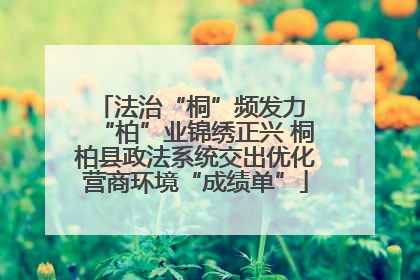 法治“桐”频发力 “柏”业锦绣正兴 桐柏县政法系统交出优化营商环境“成绩单”