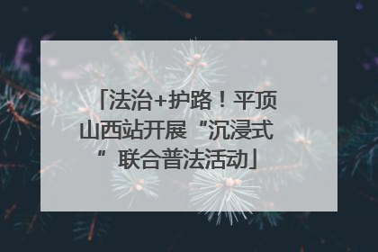 法治+护路！平顶山西站开展“沉浸式”联合普法活动
