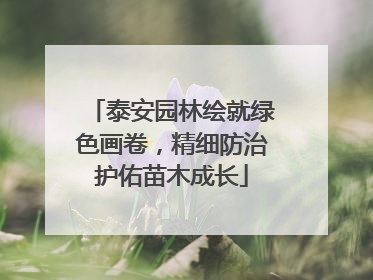 泰安园林绘就绿色画卷，精细防治护佑苗木成长