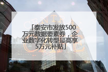 泰安市发放500万元数据要素券，企业数字化转型最高享5万元补贴