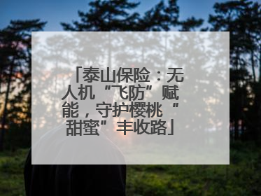 泰山保险：无人机“飞防”赋能，守护樱桃“甜蜜”丰收路