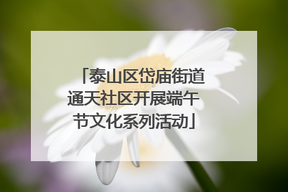 泰山区岱庙街道通天社区开展端午节文化系列活动