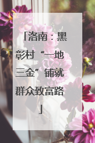洛南：黑彰村“一地三金”铺就群众致富路