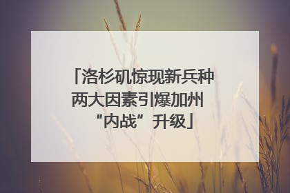 洛杉矶惊现新兵种 两大因素引爆加州“内战”升级