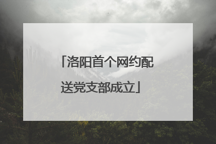 洛阳首个网约配送党支部成立