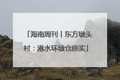 海南周刊丨东方墩头村：港水环墩仓廪实