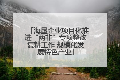 海垦企业项目化推进“两非”专项整改复耕工作 规模化发展特色产业