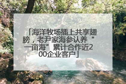 海洋牧场插上共享翅膀，老尹家海参认养“一亩海”累计合作近200企业客户