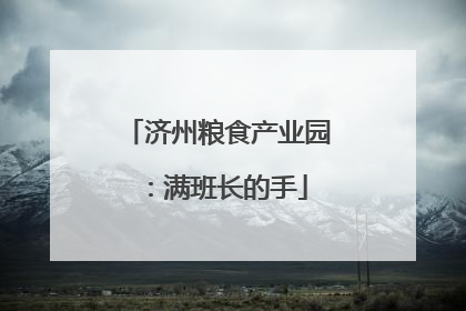 济州粮食产业园：满班长的手