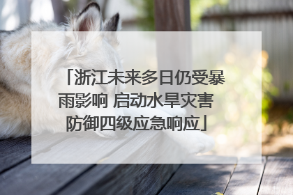 浙江未来多日仍受暴雨影响 启动水旱灾害防御四级应急响应
