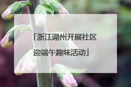 浙江湖州开展社区迎端午趣味活动