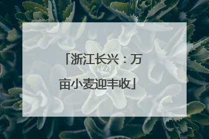 浙江长兴：万亩小麦迎丰收