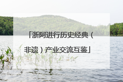 浙阿进行历史经典（非遗）产业交流互鉴