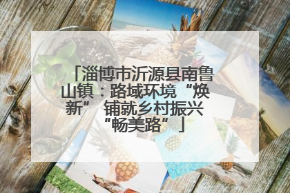 淄博市沂源县南鲁山镇：路域环境“焕新” 铺就乡村振兴“畅美路”