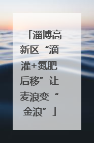 淄博高新区“滴灌+氮肥后移”让麦浪变“金浪”