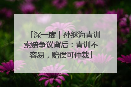 深一度｜孙继海青训索赔争议背后：青训不容易，赔偿可仲裁