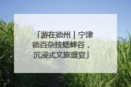 游在德州｜宁津德百杂技蟋蟀谷，沉浸式文旅盛宴