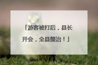 游客被打后，县长开会，全县整治！