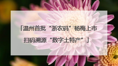 温州首批“浙农码”杨梅上市 扫码溯源“数字土特产”