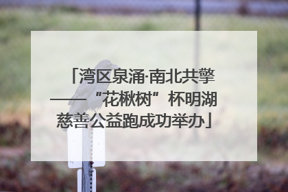 湾区泉涌·南北共擎——“花楸树”杯明湖慈善公益跑成功举办